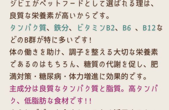【ジビエペットフード取り扱い開始🦌】