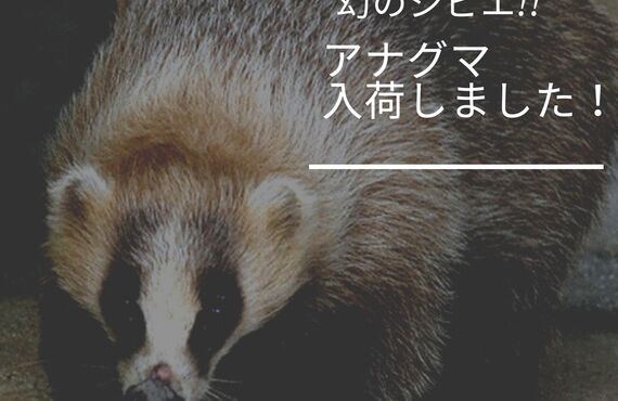 【アナグマ！大好評です◎】地元酒場あじと