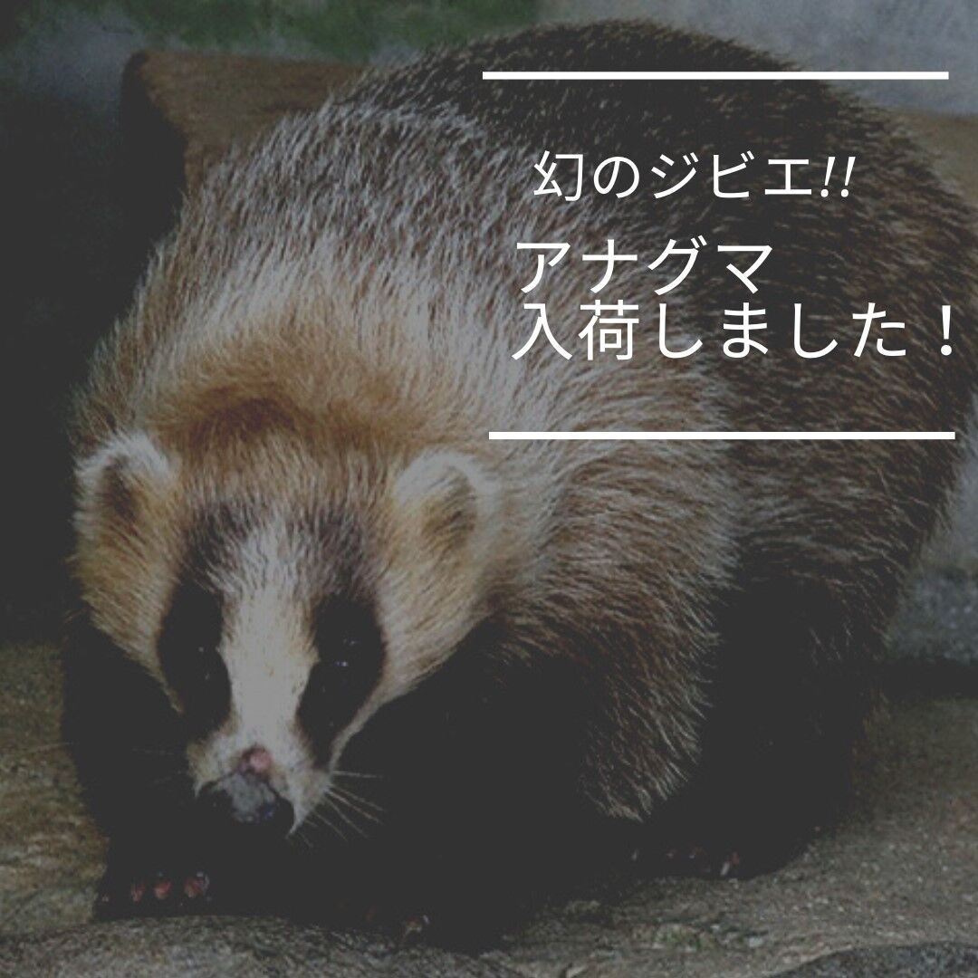 アナグマ
