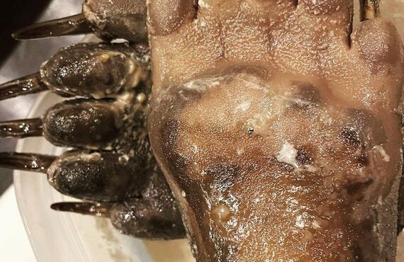 【熊の手🐾即完売御礼】地元酒場あじと